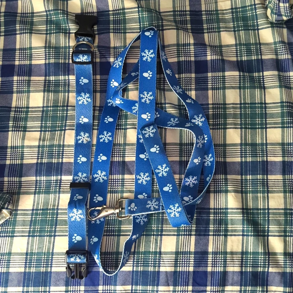 Matching Dog Collar and Leash - Picture 1 of 3
